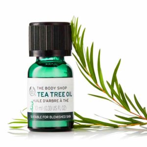 روغن درخت چای تی تری بادی شاپ اصل The Body Shop Tea Tree Oil